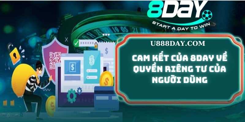 Cam Kết Của 8Day Về Quyền Riêng Tư Của Người Dùng