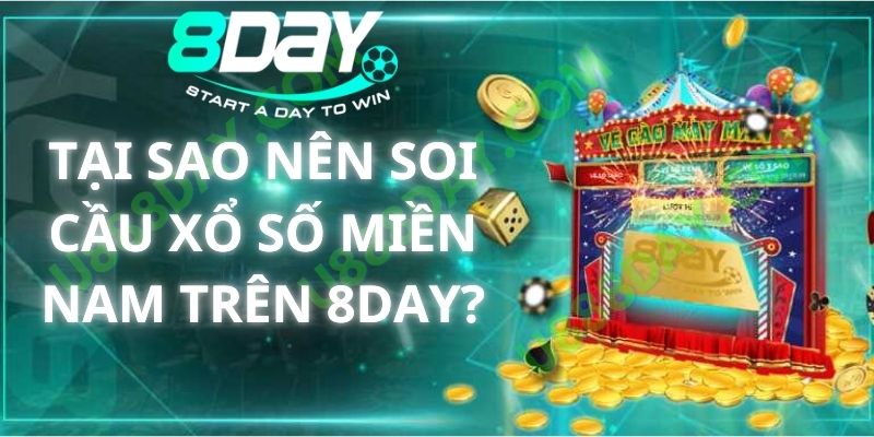 Tại Sao Nên Soi Cầu Xổ Số Miền Nam Trên 8DAY?